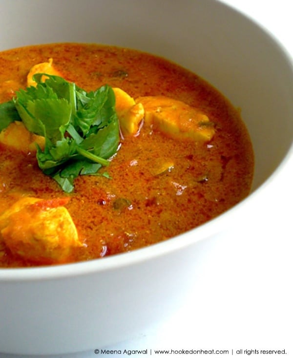 A bowl of Dahiwali Chicken Curry (Chicken Curry with Yogurt)